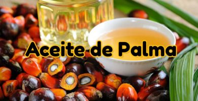 todo sobre el aceite de palma