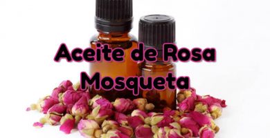 propiedades y beneficios del aceite de rosa mosqueta