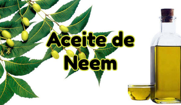 aceite de neem